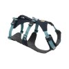 רתמת RUFFWEAR Flagline™ Harness מעולה לשטח ריצה וטיולים באנר