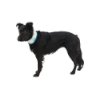 צווארון קירור RUFFWEAR ™Swamp Cooler באנר