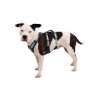 רתמת RUFFWEAR Flagline™ Harness מעולה לשטח ריצה וטיולים באנר
