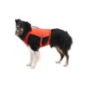 אפוד ציפה RUFFWEAR Confluence לתמיכה מקסימלית בשחייה טבעית באנר