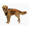 רתמת RUFFWEAR Ridgeline™ Harness האיכותית ביותר לכלבך באנר