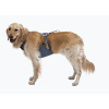 רתמת RUFFWEAR Load Up™ Dog Car Harness להובלת כלבים ברכב בביטחון באנר