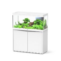 אקווה אטלנטיס וולגה לבן VOLGA 180L