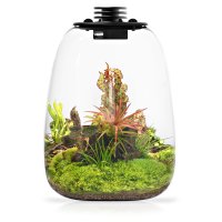 Bioloark Bio Bottle QD Series