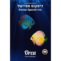  דיסקוס ספיישל אורקה Orca Special