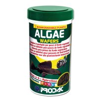 ALGAE WAFERS מזון טבליות שוקעות לדגי קרקעית