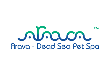 Arava dead sea
